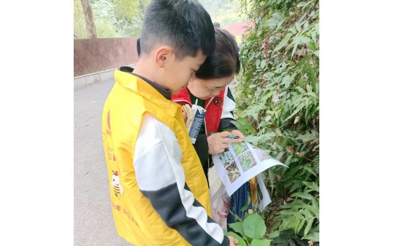 公益小天使-&ldquo;初冬神秘的寻山识药之旅&rdquo; 主题实践活动