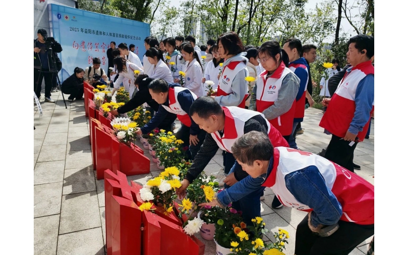 延续生命之歌 点亮希望之光