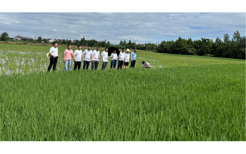 禁毒帮扶育新篇 志愿联盟共鉴650亩创业田育新苗