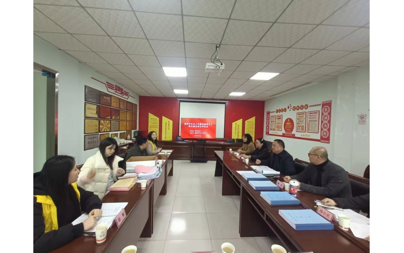 蚂蚁新闻-益阳市民政服务总站项目评估会圆满结束