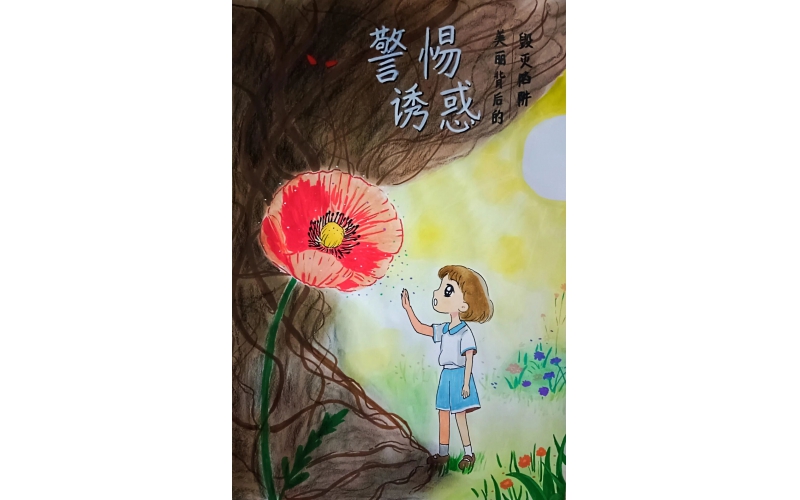 禁毒娃娃｜&ldquo;生命之光&middot;无毒之美&rdquo; 青少年 禁毒书画大赛作品选萃（第七期）