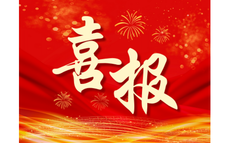 喜报-喜获殊荣树标杆 砥砺前行谱新篇